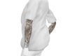 white T Shirt