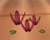 love flower lotus