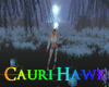 D Cerulean Coast