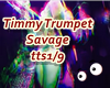 Timmy Trumpet