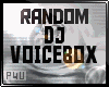 -P- DJ Voicebox