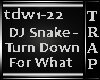 DjSnake-Turn Down 4What