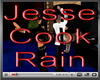 1 Jesse Cook - Rain ( Li