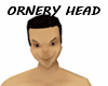 ORNERY HEAD