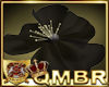 QMBR Hat Fascinatr Black