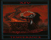 XIV - Temperance