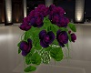 (S)Roses in a vase