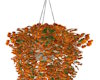 Tall hanging flowers