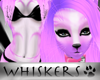 Whiskers :Tabby V3 Fur F