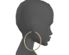 *Gold Earrings