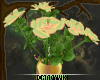 [CV]Spring Roses Vased