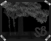 [SB] Dark Couples Tree