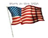 DL* Flag USA