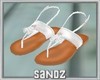 S. Beach Sandals Decor