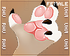. Cream | Claws