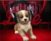 Rocking DJ Puppy Pet