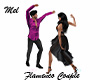 Flamenco Couple