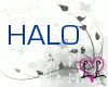 LL Halo Room