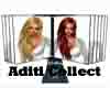 Aditi - Collection