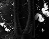 ᨳLeather Boots BK