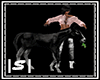 |S|Black Baby Horse Eat