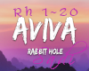 AVIVA Rabbit hole