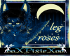 kimmy leg roses