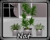 NT Wedding  Planter 4