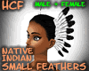 HCF Native feather dress
