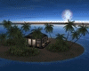 Honeymoon island2