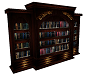 Brown&Gold Bookcase