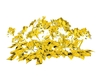 flzues jaune et blanche