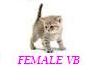Ultimate Female VB 1of 2
