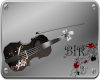[BIR]Violine