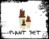  Plant set
