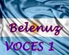 Voces Argentina 1