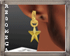 gold star earring's