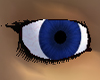 PerfectBlue Eyes