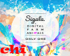SIGALA - ONLY ONE