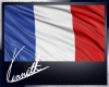 France FLAG