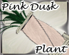 *LMB* Pink Dusk Plant