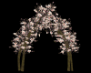 Magnolia Tree Arch