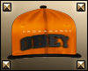 :R: Obey Swag