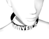 COLLAR#1