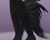 Black Wolf leg hair