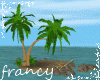 tropicana beach palm