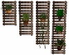 Plants On Wall