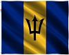 (W)BarbadosDrape