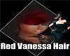 Red Vanessa
