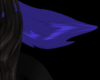 P. Electric Blue Ears V1